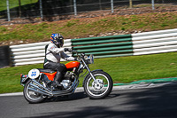 Vintage-motorcycle-club;eventdigitalimages;mallory-park;mallory-park-trackday-photographs;no-limits-trackdays;peter-wileman-photography;trackday-digital-images;trackday-photos;vmcc-festival-1000-bikes-photographs